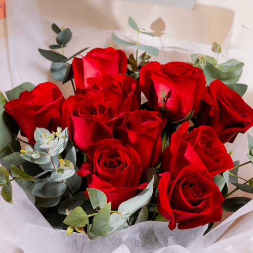 Rose Rosse