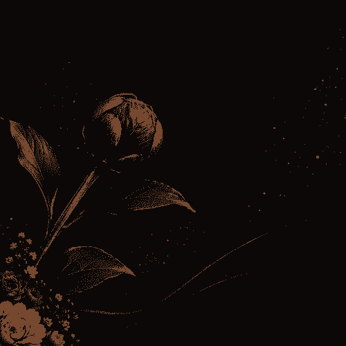 SEED