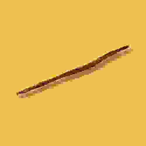 Vejiga