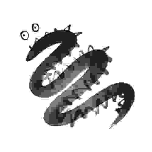 【力量動物 Spirit Animal】龍 Dragon