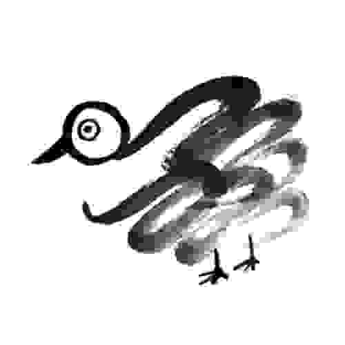 【力量動物 Spirit Animal】禿鷲 Vulture