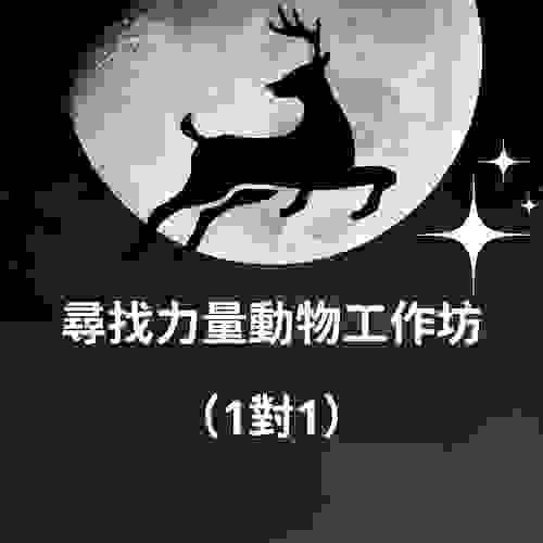 尋找力量動物工作坊（一對一）