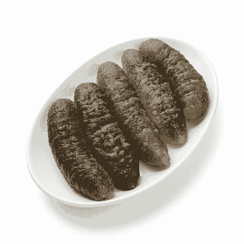 Madagascar Sandfish 沙隆福参