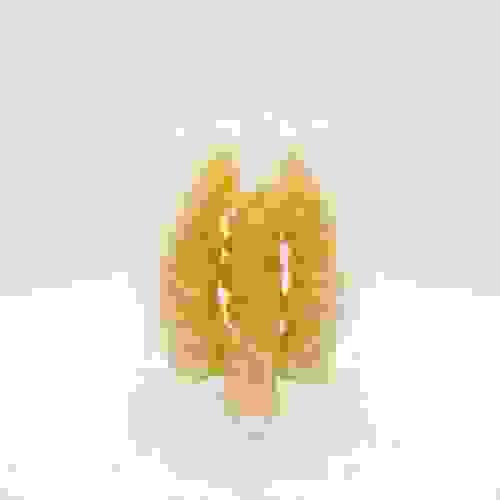 Fish Maw 金龙圆鳔