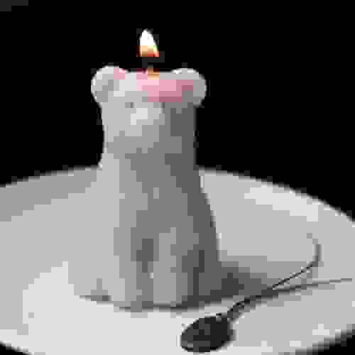 [얼그레이] bear candle
