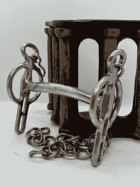 LIVERPOOL BIT, MULLEN MOUTH, FIXED CHEEK, 2 SLOTS