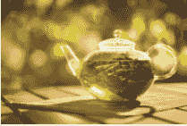 Medicinal Herb Tea Tasting – Our Favorite Herbs for Fall and Winter Health October 11th 