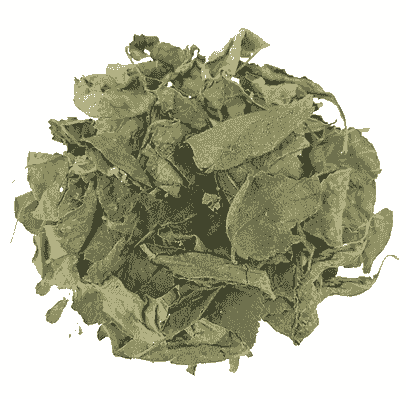 St. Johns Bush Womb Healing & Minstrel Relief Tea (2oz.)