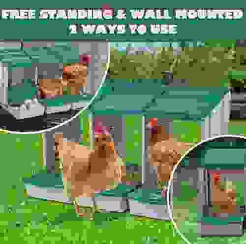 3 Hole Chicken Nesting Box Chook Hen Roll Away Laying Boxes Poultry Modular House