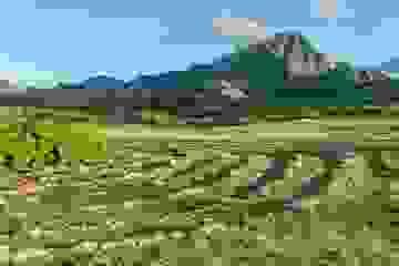 Nervous System Reset (3 Sessions)