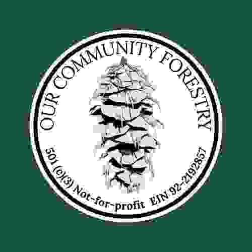 Classic OURCF Logo Sticker