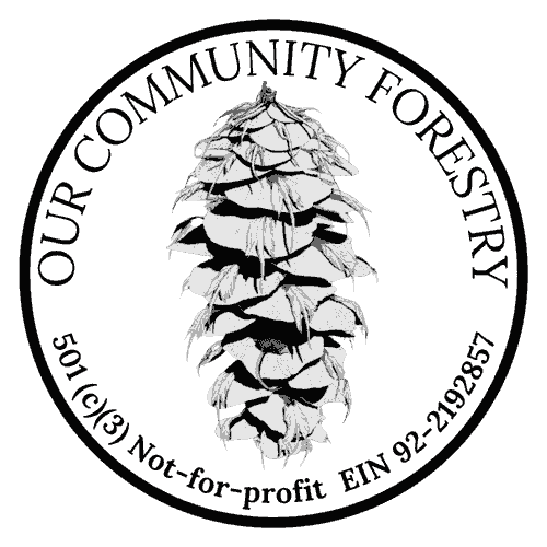 Classic OURCF Logo Sticker
