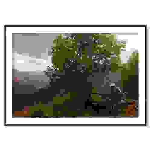 Sous l'arbre