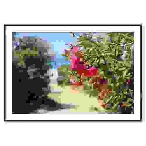 Bloom