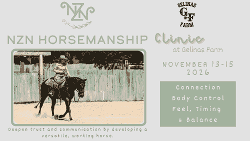 November NZN Horsemanship Clinic