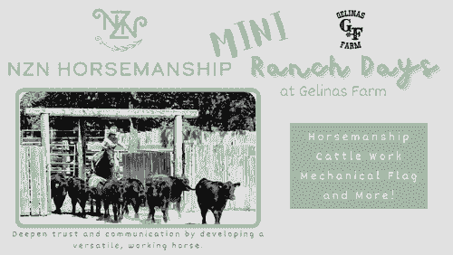 *NEW* NZN Horsemanship MINI-Ranch Day