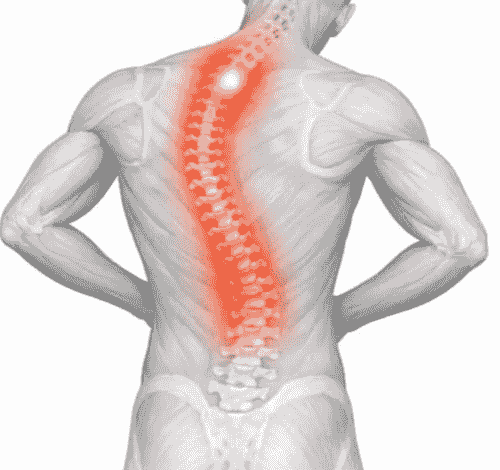 Physiothérapie générale et orthopédique