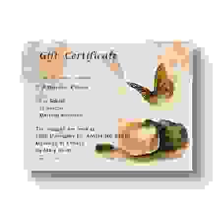 Gift Certificate - 2 Sessions