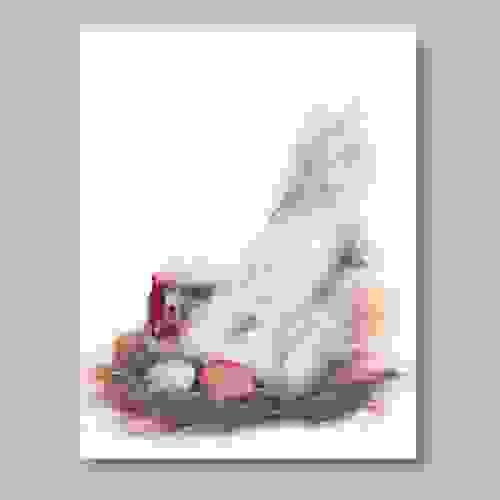 Where LIfe begins Softly