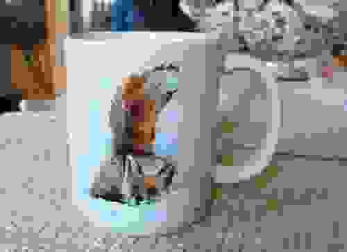 Red Fox - Mug