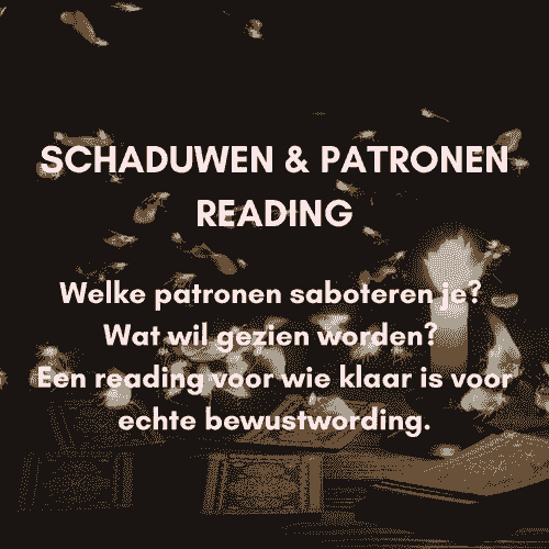 SCHADUWEN & PATRONEN READING