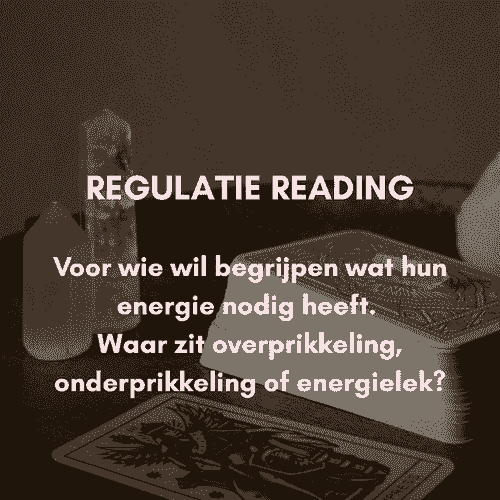 REGULATIE READING