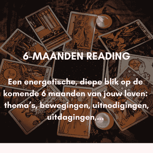 6 MAANDEN READING