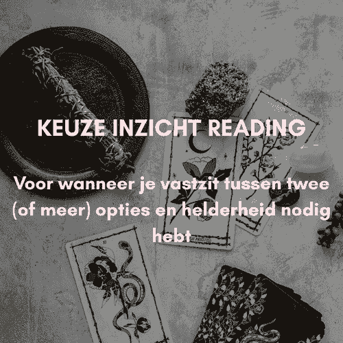 KEUZE INZICHT READING