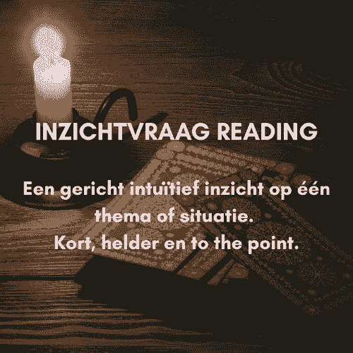 INZICHTVRAAG READING