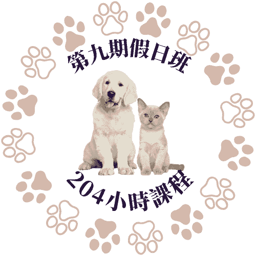 【 犬貓小城市—第九期 】早鳥優惠價