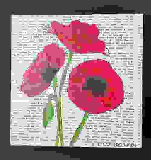 Poppy Study-ORIGINAL