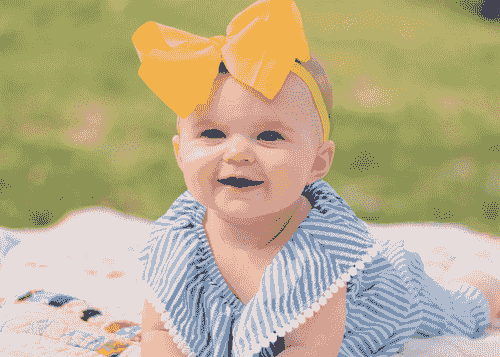 Book an Appointment Now