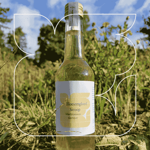Bloesemgloed :vlierbloesem gember siroop