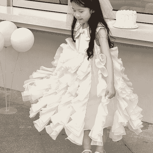 Princess Dress