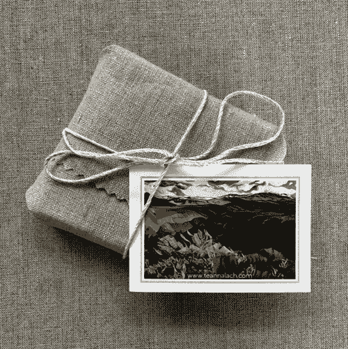 (10) Gift Tags - Early Spring in the Boise Foothills