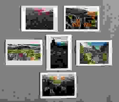 Floral - Folded Notecard 6 pack