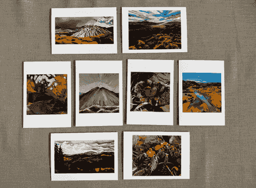 New Mexico - Folded Notecard 8 Pack