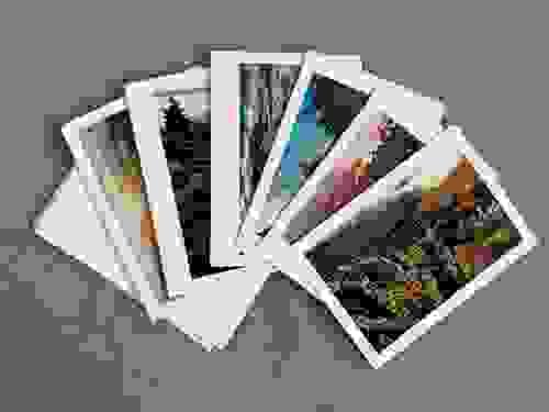 Floral - Folded Notecard 6 pack
