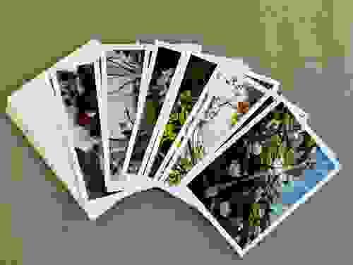 Simple Things Notecard 12-pack