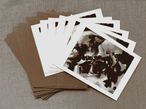 Winterberries Folded Note card 6 pack