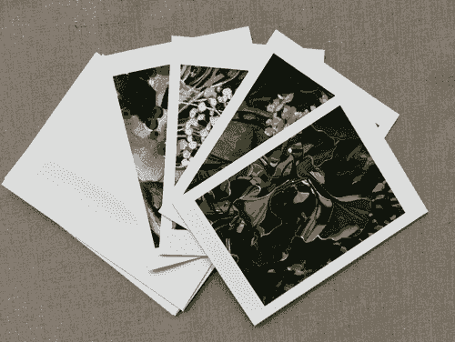 Four Seasons Folded Notecard 4-pack