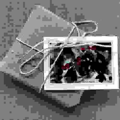 (10) Gift Tags - Winterberries
