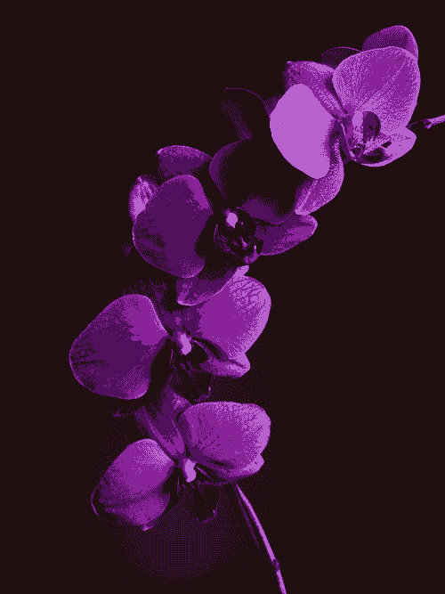 Intro to Psychic Development Course