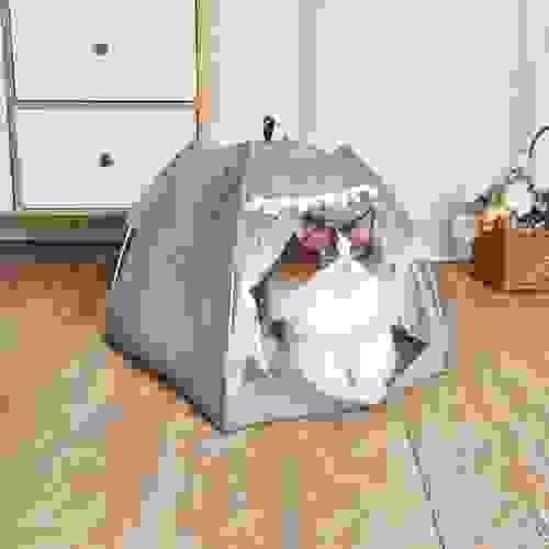 PET BED 