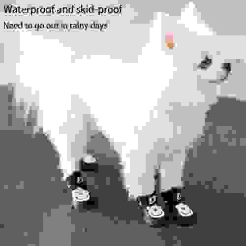 PET SHOES