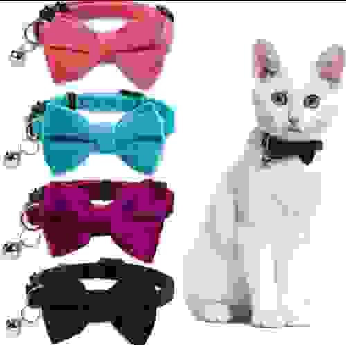 Pet Bow