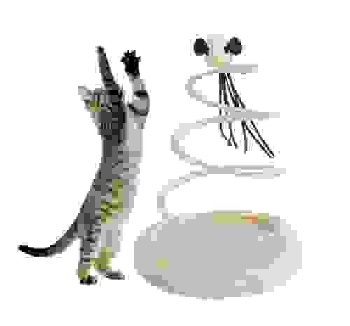 Cat Toy