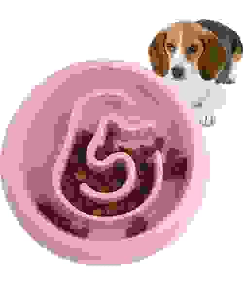 pet bowl
