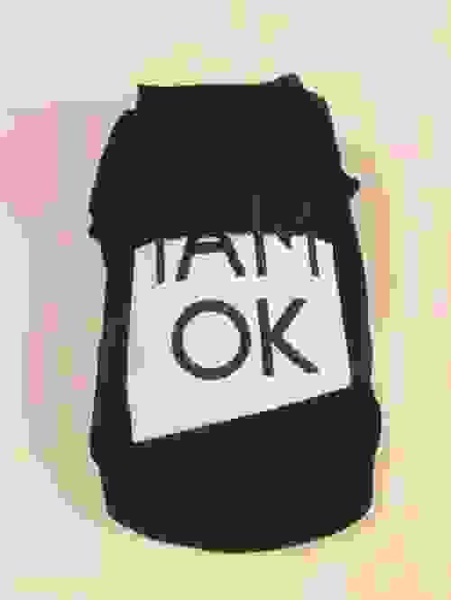 pet sweatshirt