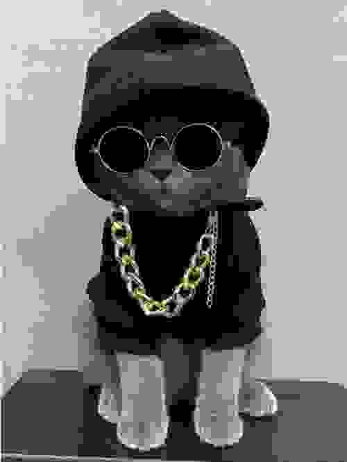 pet hoodie
